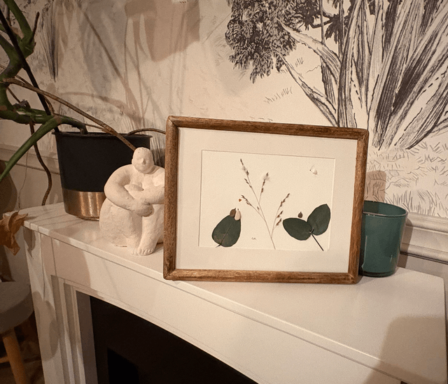 Joli papillon